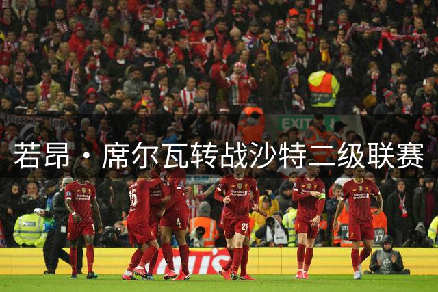 若昂·席尔瓦转战沙特二级联赛